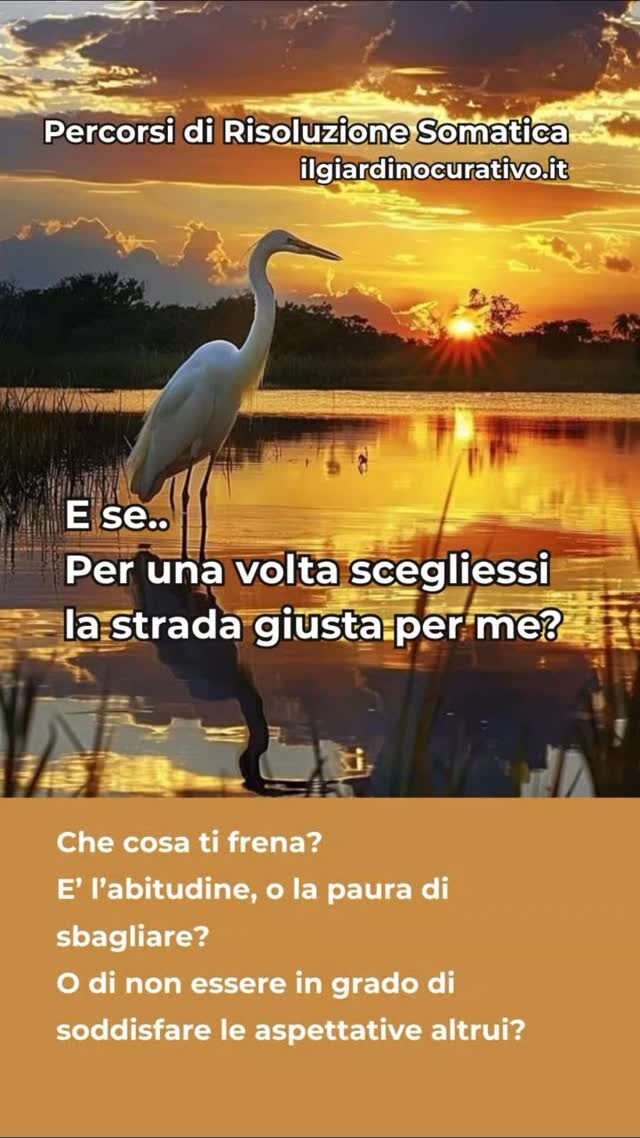 Quando sono presente nella vita, sono disponibile davvero per gli altri perché prima di tutto sono disponibile per me stesso.
E questo è tutto ciò che serve.
Arrivare a quel modo di essere non è un "conoscere", né un "imparare", come siamo abituati a pensare; ma è un "fare esperienza diretta", è una pratica continua di affinare e ripulire il collegamento con la parte più sottile e più vera di Ciò che siamo.
Anche questo è Risoluzione Somatica.
RISOLUZIONE SOMATICA 
dei blocchi emotivi e corporei, attraverso la regolazione indiretta del Sistema Nervoso.
Cosa ti impedisce di esprimerti per quello che sei?
In questo Percorso, ti guido a entrare in contatto con la tua essenza più autentica, in uno spazio di ascolto sicuro ed empatico.
Liberando le energie congelate nel Corpo e permettendoti di tornare a sentire davvero e non solo a pensare di sentire.
"Solo quando torni a sentiTI, puoi Scegliere veramente"
Nel piacere di stare insieme, ritrovando l'armonia della Comunità Umana, possiamo riscoprire gli strumenti per riconnetterci con chi Siamo veramente. 
... E vivere con gioia!
CALENDARIO 
ilgiardinocurativo.it/calendario 
(link in bio)
ATTIVITÀ 
ilgiardinocurativo.it/attivita
(vedi sito web)
CONTATTI
ilgiardinocurativo.it (link in bio)
e-mail:  info@ilgiardinocurativo.it
whatsapp: 378 069 7312
Telegram:  Ilaria - il Giardino Curativo
Facebook:  Ilaria - il Giardino Curativo
Instagram: Ilaria.GiardinoCurativo
TikTok:  @giardinocurativo
YouTube: Ilaria - Il Giardino Curativo
#lavorosudise #ricercainteriore #ricercapersonale #relazioni #costellazionifamiliarisistemiche #costellazionifamiliari #eventiolistici #ricercadellafelicità #donna #coppia #famiglia #salute #sciamanismo #lavorointeriore #costellazionisicilia #costellazionitoscana